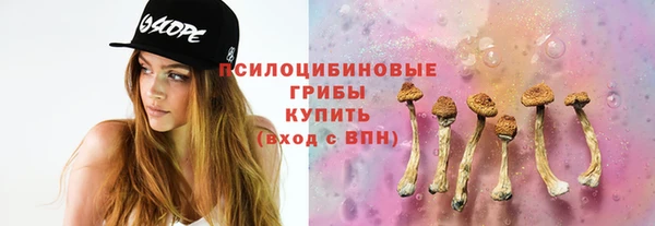 тгк Аркадак