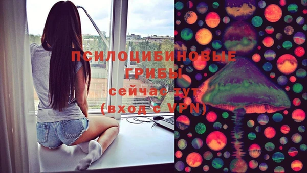 тгк Аркадак