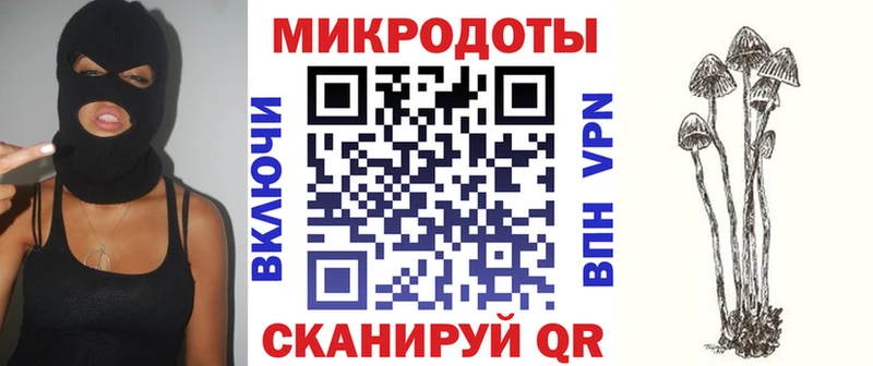 сколько стоит  Канск  Галлюциногенные грибы Psilocybine cubensis 