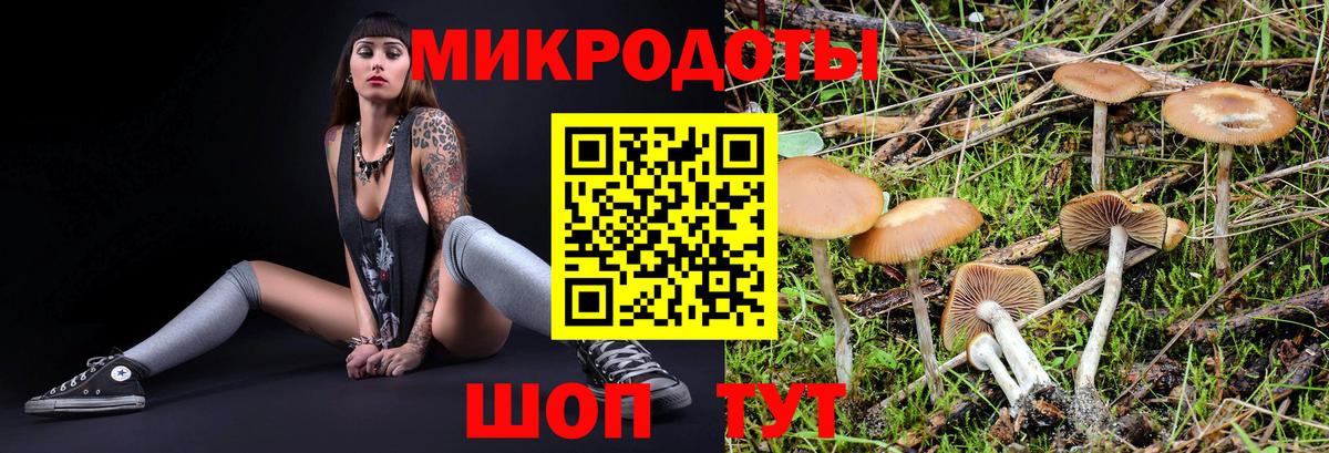 Канск  Галлюциногенные грибы Magic Shrooms  Вход с VPN 